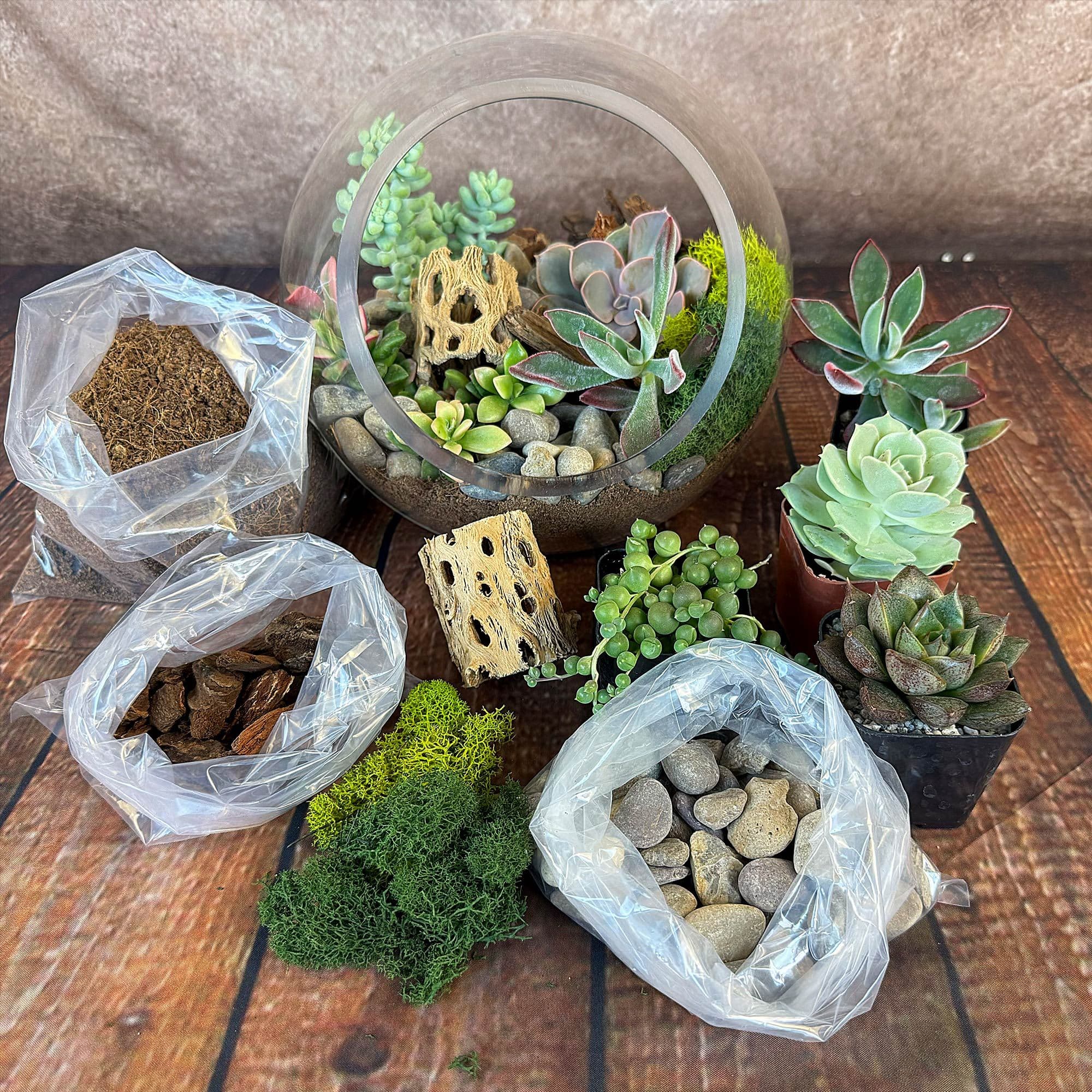 Join us for Succulent Jar & Moss Terrarium Workshop - The Crossing at East  Cut - San Francisco, CA